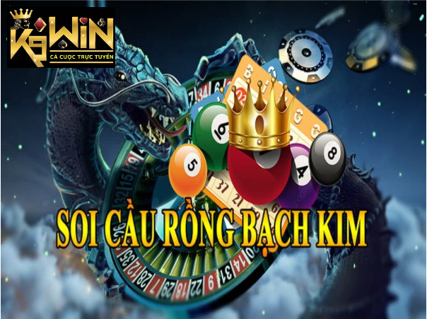 Hướng dẫn cách sử dụng soi cầu rồng bạch kim vip dự đoán kết quả xổ số chính xác nhất