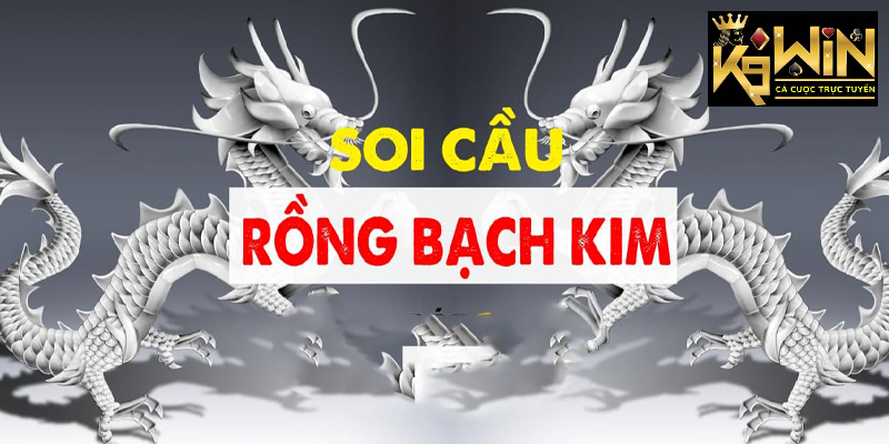 Kinh nghiệm soi cầu rồng bạch kim vip từ anh em cao thủ soi cầu lâu năm